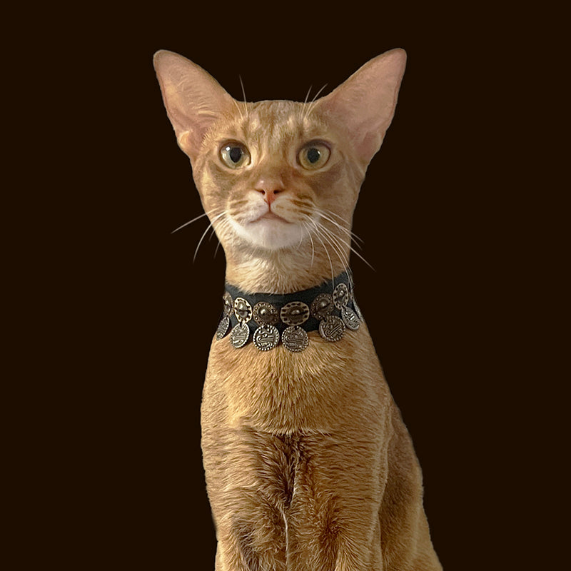 Pet Decorative Collar- Ethnic Style