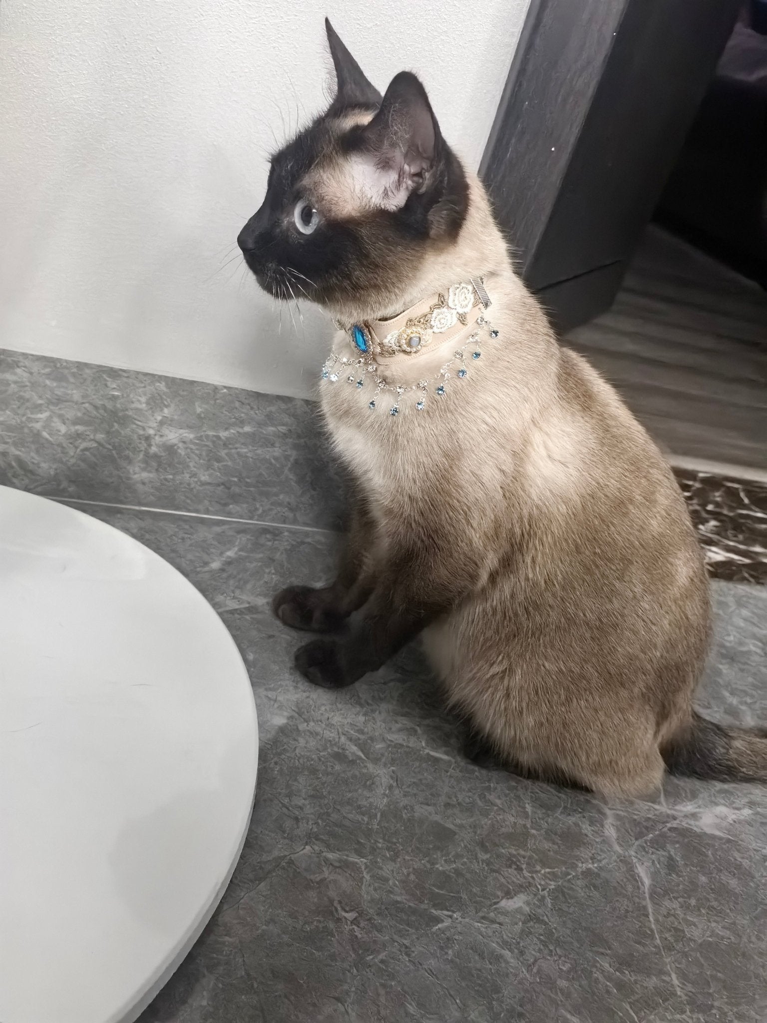 Pet Decorative Collar - Moonlight Shadow - Pawlor