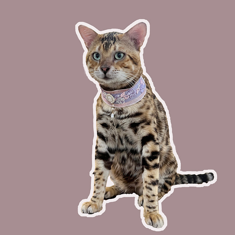 Pet Decorative Collar-Elegant Pastel Bowtie Decorative Collar