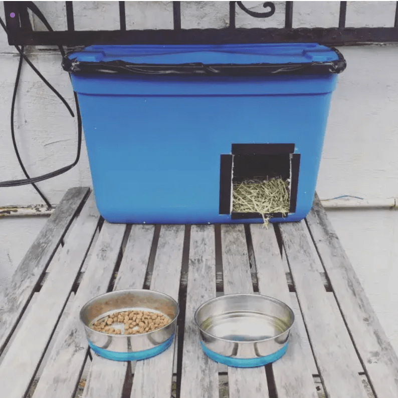 What Is the Best Shelter for Outdoor Cats in Winter? - Pawlor