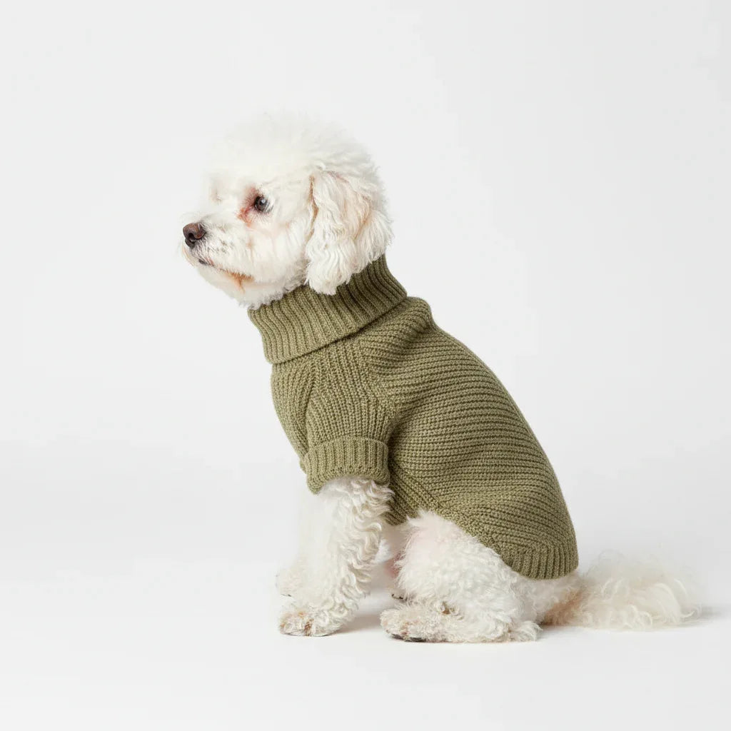 Thermal Knitted Dog Sweater - Turtleneck Winter Coat-Medium Size - Pawlor