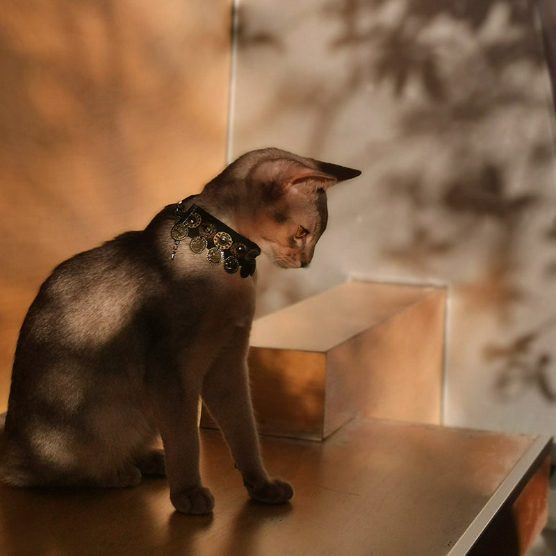 Pet Decorative Collar- Ethnic Style