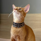 Pet Decorative Collar- Ethnic Style