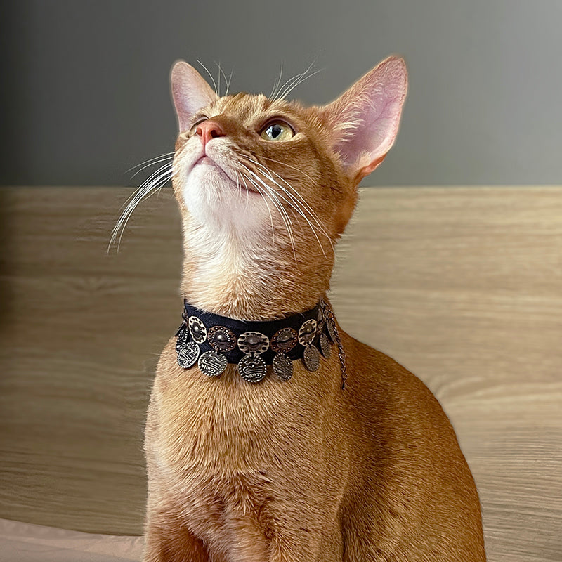Pet Decorative Collar- Ethnic Style