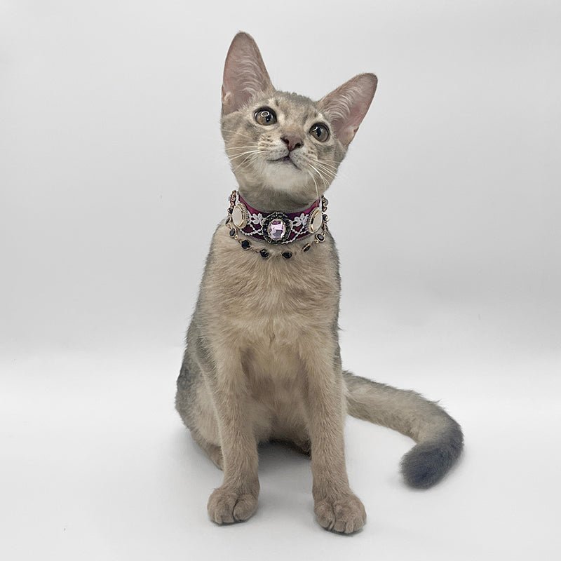 Pet Decorative Choker - Evening - Drenched Wisteria - Pawlor