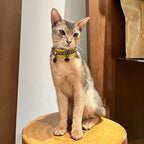 Pet Decorative Choker- Hilltop Ancient Capital - Pawlor