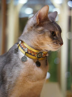 Pet Decorative Choker- Hilltop Ancient Capital - Pawlor