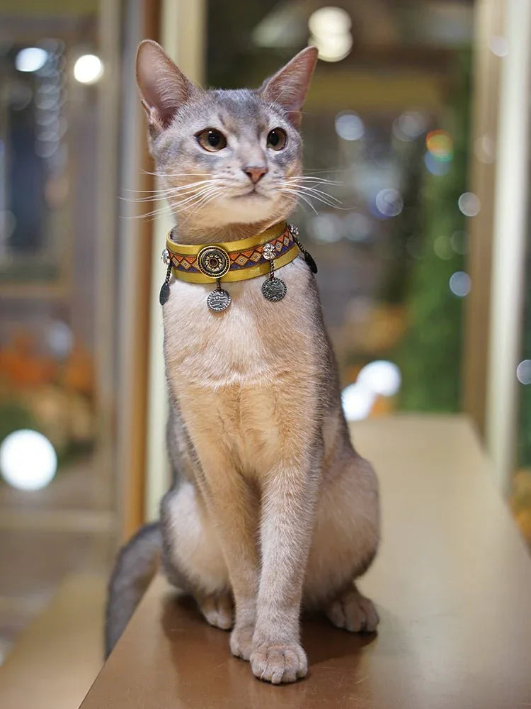 Pet Decorative Choker- Hilltop Ancient Capital - Pawlor