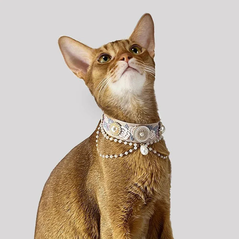 Pet Decorative Choker- Lotte Cocoa - Pawlor