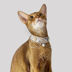 Pet Decorative Choker- Lotte Cocoa - Pawlor