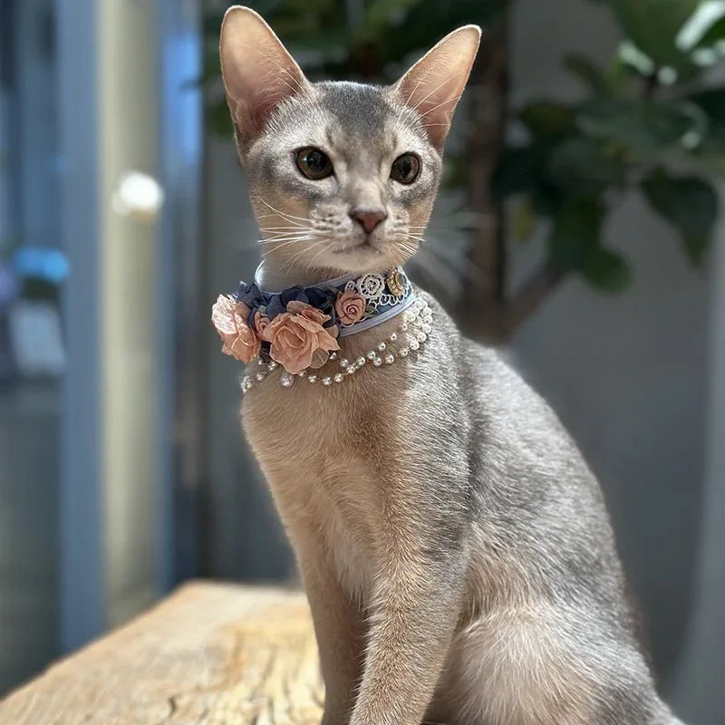 Pet Decorative Choker- Snow Jade and Jadeite - Pawlor