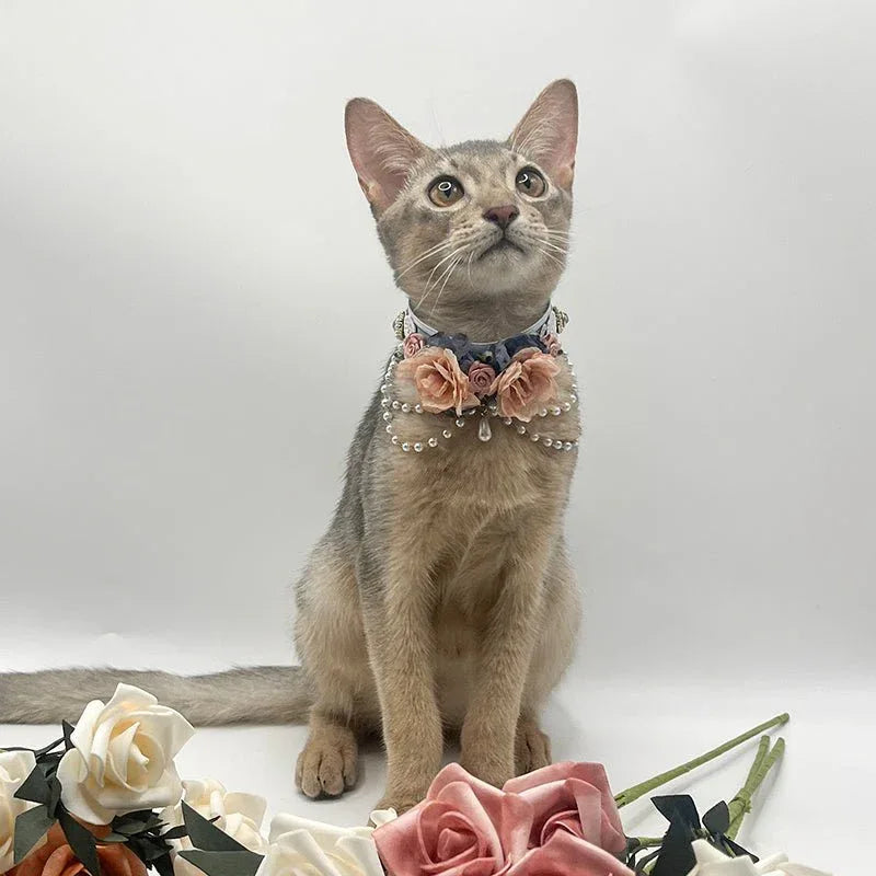 Pet Decorative Choker- Snow Jade and Jadeite - Pawlor