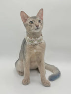 Pet Decorative Choker- Springtime Letter - Pawlor