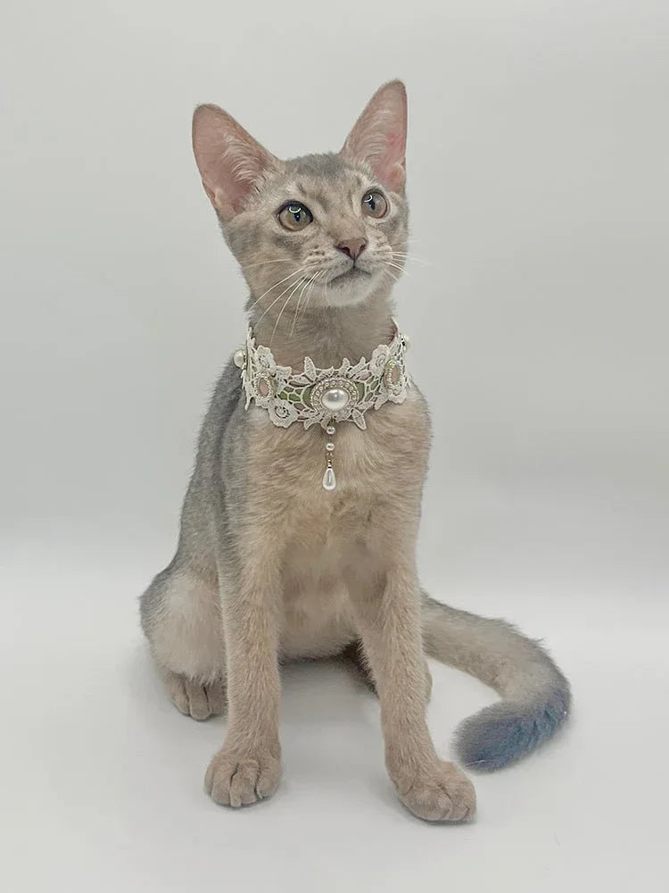 Pet Decorative Choker- Springtime Letter - Pawlor