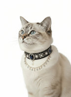 Pet Decorative Choker- Twilight Stars - Pawlor