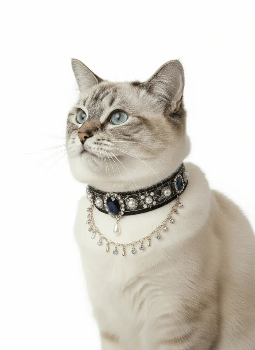 Pet Decorative Choker- Twilight Stars - Pawlor