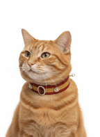 Pet Decorative Collar - Chinese Red - Pawlor