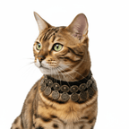 Pet Decorative Collar - Ethnic Style - Pawlor