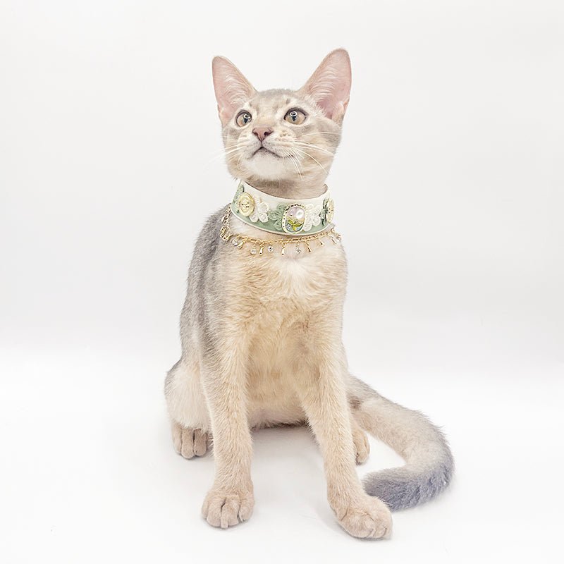 Pet Decorative Collar - Lace Satin& Zircon Tassels - Pawlor