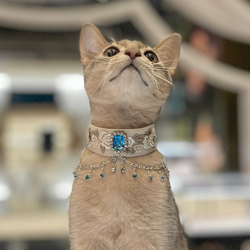 Pet Decorative Collar - Moonlight Shadow - Pawlor