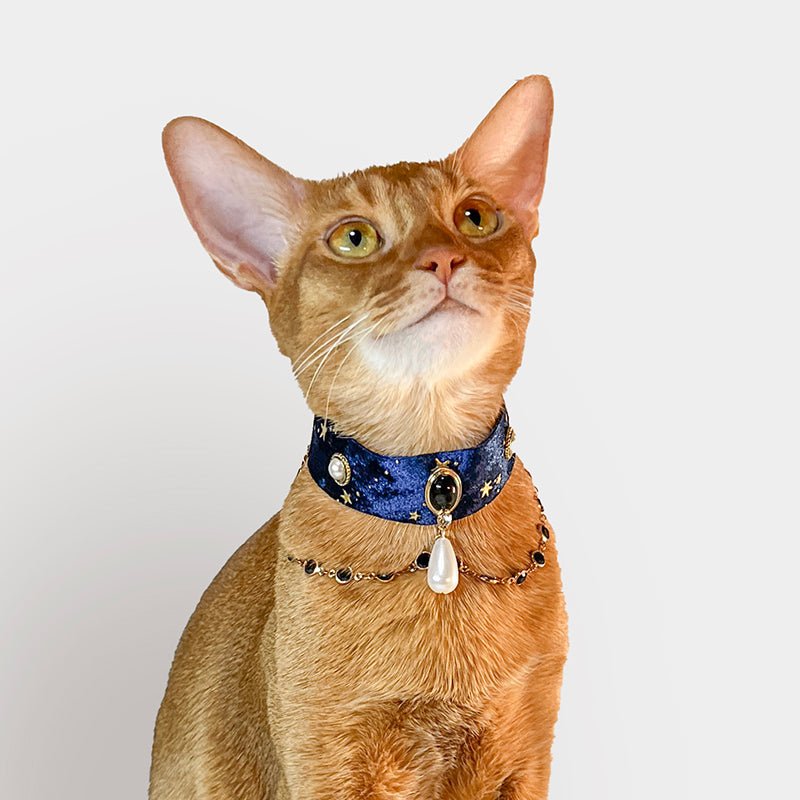 Pet Decorative Collar - Romantic Starlight - Pawlor