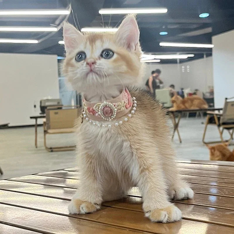 Pet Decorative Collar- Rose Journal - Pawlor