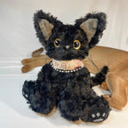 Pet Decorative Collar- Rose Journal - Pawlor