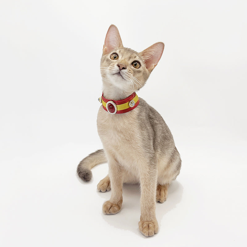 Pet Decorative Collar- Chinese Red