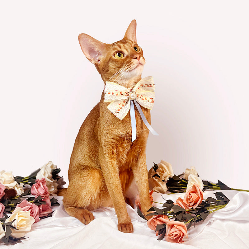 Pet Decorative Collar- Bowknot