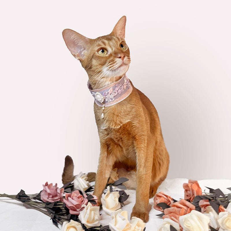 Pet Decorative Collar-Elegant Pastel Bowtie Decorative Collar