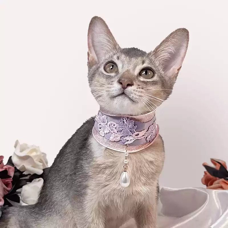 Pet Decorative Collar-Elegant Pastel Bowtie Decorative Collar