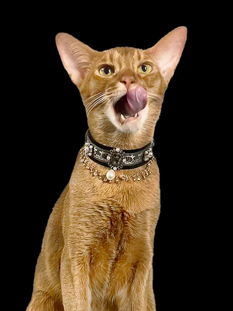 Pet Decorative Choker- Twilight Stars - Pawlor